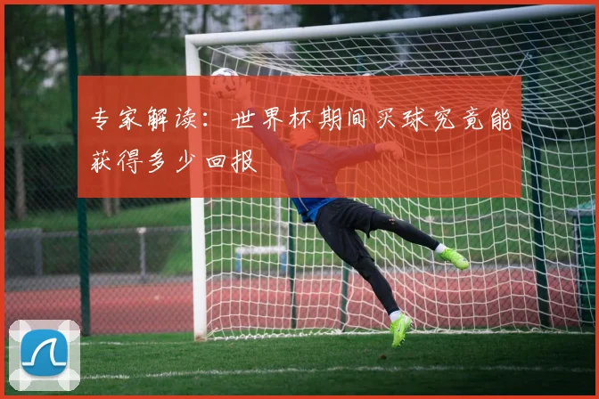 专家解读:世界杯期间买球究竟能获得多少回报