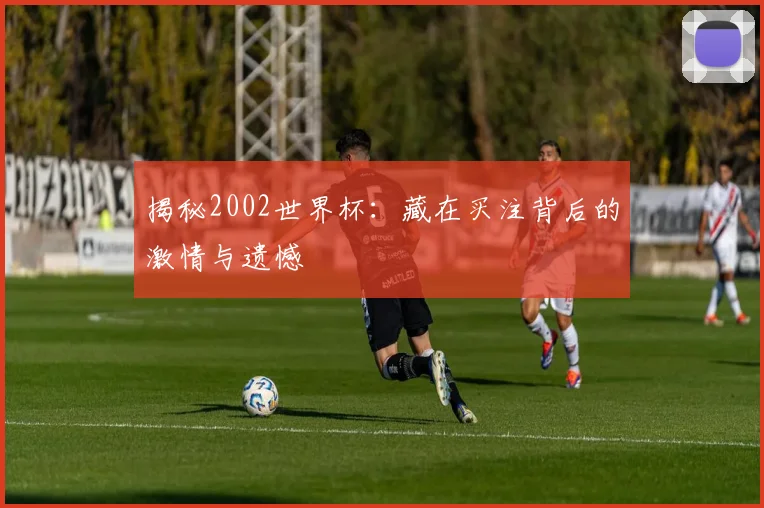 揭秘2002世界杯:藏在买注背后的激情与遗憾