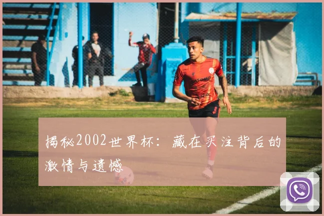 揭秘2002世界杯：藏在买注背后的激情与遗憾